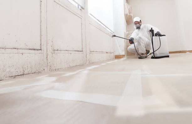 24/7 Emergency Mold Cleanup experts in Thompsonville, PA